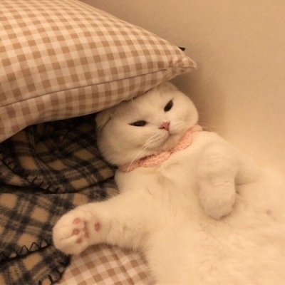 巨人网络：《超自然行动组》推出AI大模型玩法，AI与真人玩家对局数超2500万次